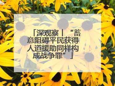 深观察丨“蓄意阻碍平民获得人道援助同样构成战争罪”
