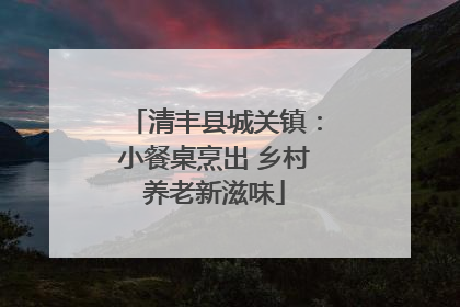 清丰县城关镇：小餐桌烹出 乡村养老新滋味