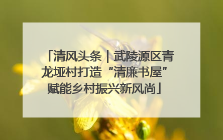 清风头条｜武陵源区青龙垭村打造“清廉书屋”赋能乡村振兴新风尚