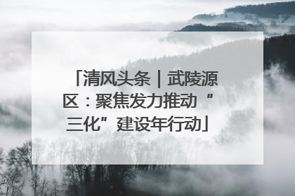 清风头条｜武陵源区：聚焦发力推动“三化”建设年行动