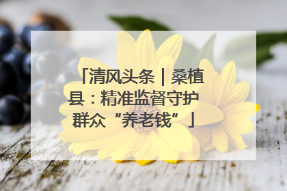 清风头条｜桑植县：精准监督守护群众“养老钱”