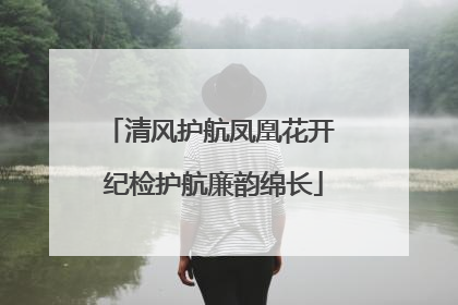 清风护航凤凰花开 纪检护航廉韵绵长
