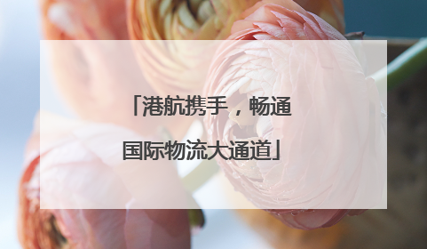 港航携手，畅通国际物流大通道
