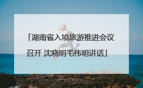 湖南省入境旅游推进会议召开 沈晓明毛伟明讲话