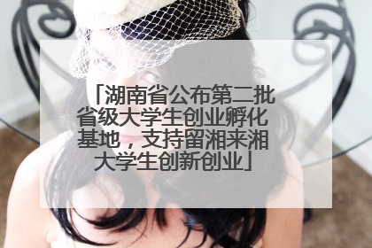 湖南省公布第二批省级大学生创业孵化基地，支持留湘来湘大学生创新创业