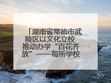 湖南省常德市武陵区以文化立校 推动办学“百花齐放”——每所学校都“精彩”