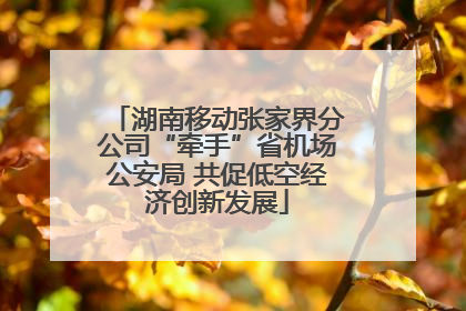 湖南移动张家界分公司“牵手”省机场公安局 共促低空经济创新发展