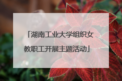 湖南工业大学组织女教职工开展主题活动