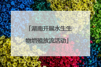 湖南开展水生生物增殖放流活动