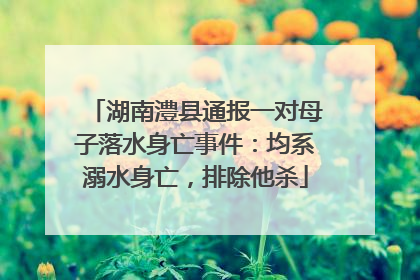 湖南澧县通报一对母子落水身亡事件：均系溺水身亡，排除他杀