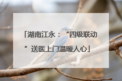 湖南江永：“四级联动”送医上门温暖人心