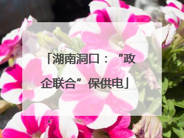 湖南洞口：“政企联合”保供电