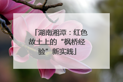 湖南湘潭：红色故土上的“枫桥经验”新实践