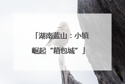 湖南蓝山：小镇崛起“箱包城”