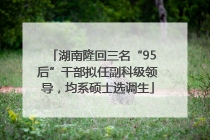 湖南隆回三名“95后”干部拟任副科级领导，均系硕士选调生