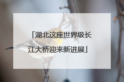 湖北这座世界级长江大桥迎来新进展