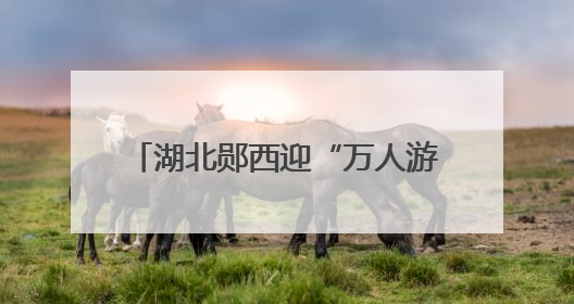 湖北郧西迎“万人游郧西”自驾首发团
