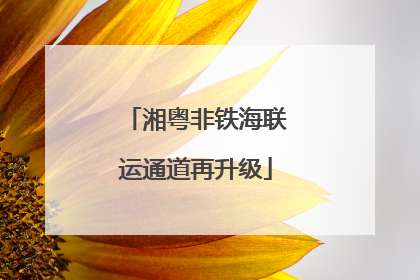 湘粤非铁海联运通道再升级