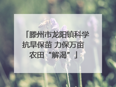 滕州市龙阳镇科学抗旱保苗 力保万亩农田“解渴”