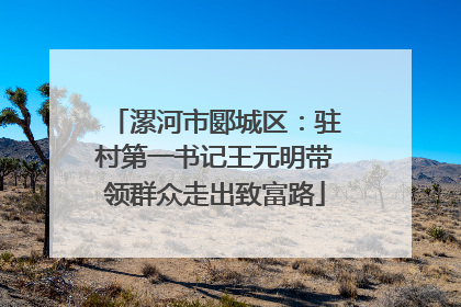 漯河市郾城区：驻村第一书记王元明带领群众走出致富路