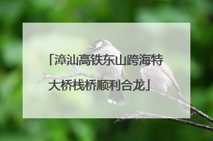 漳汕高铁东山跨海特大桥栈桥顺利合龙