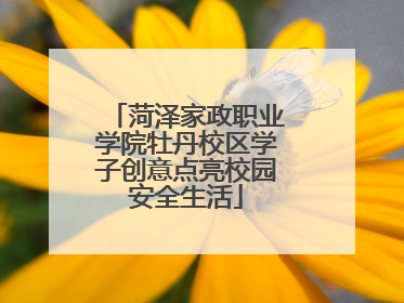 菏泽家政职业学院牡丹校区学子创意点亮校园安全生活