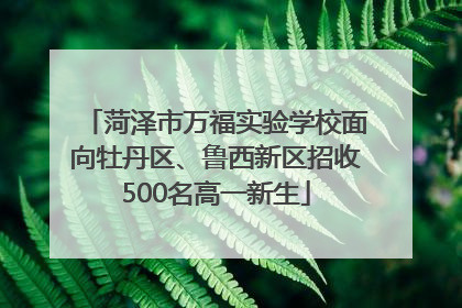菏泽市万福实验学校面向牡丹区、鲁西新区招收500名高一新生