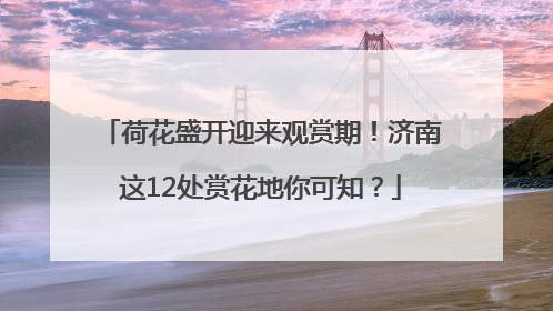 荷花盛开迎来观赏期！济南这12处赏花地你可知？