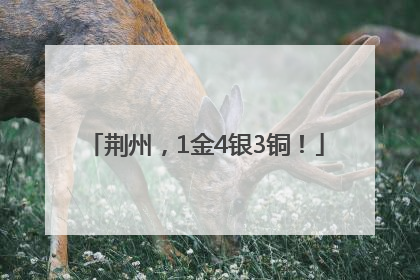 荆州，1金4银3铜！