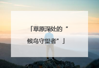 草原深处的“候鸟守望者”