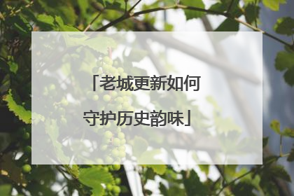 老城更新如何守护历史韵味