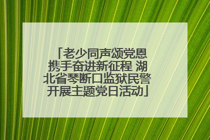 老少同声颂党恩 携手奋进新征程 湖北省琴断口监狱民警开展主题党日活动
