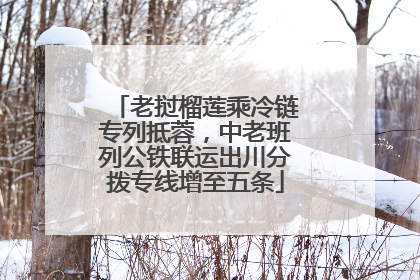 老挝榴莲乘冷链专列抵蓉，中老班列公铁联运出川分拨专线增至五条