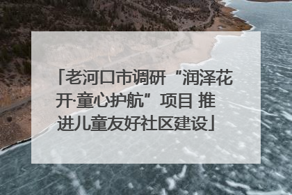 老河口市调研“润泽花开·童心护航”项目 推进儿童友好社区建设