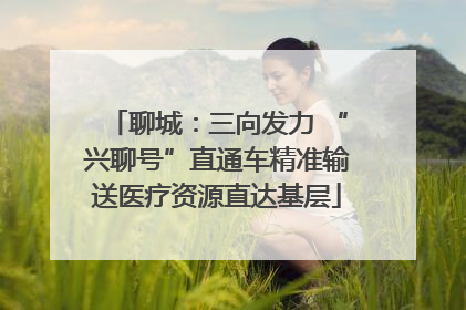 聊城：三向发力 “兴聊号”直通车精准输送医疗资源直达基层