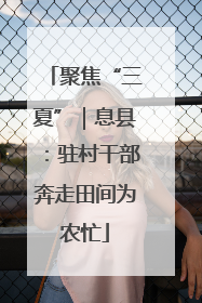 聚焦“三夏”｜息县：驻村干部奔走田间为农忙