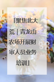 聚焦北大荒｜青龙山农场开展财审人员业务培训