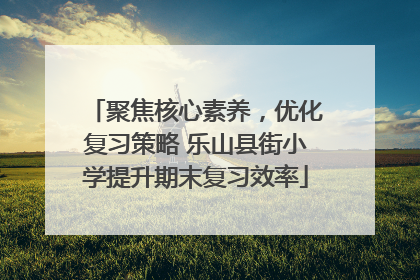 聚焦核心素养，优化复习策略 乐山县街小学提升期末复习效率
