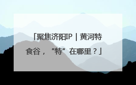 聚焦济阳IP｜黄河特食谷，“特”在哪里？