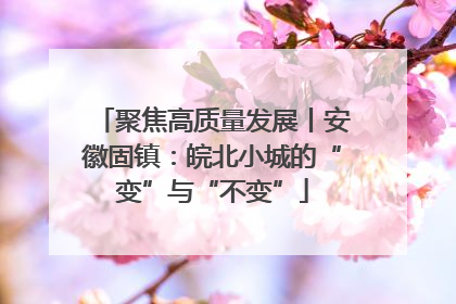 聚焦高质量发展丨安徽固镇：皖北小城的“变”与“不变”