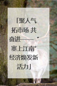 聚人气 拓市场 共奋进——“塞上江南”经济焕发新活力