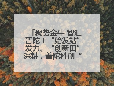 聚势金牛 智汇普陀〡“始发站”发力、“创新田”深耕，普陀科创“金牛”闪耀