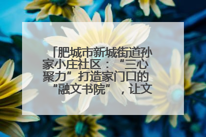 肥城市新城街道孙家小庄社区：“三心聚力”打造家门口的“融文书院”，让文化服务触手可及