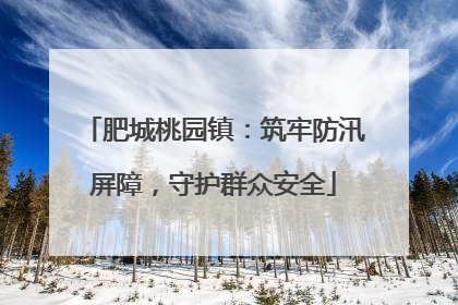 肥城桃园镇：筑牢防汛屏障，守护群众安全