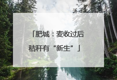 肥城：麦收过后秸秆有“新生”