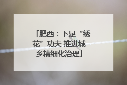 肥西：下足“绣花”功夫 推进城乡精细化治理