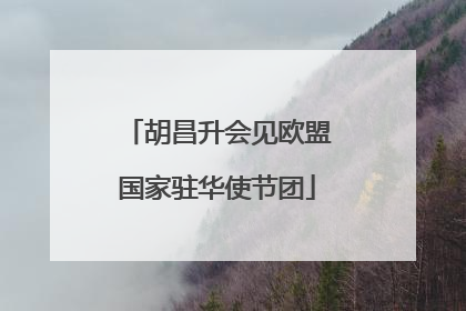 胡昌升会见欧盟国家驻华使节团