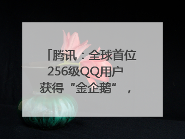 腾讯：全球首位256级QQ用户获得“金企鹅”，送限量版神秘惊喜等礼物