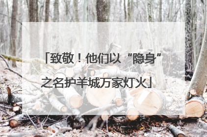 致敬！他们以“隐身”之名护羊城万家灯火