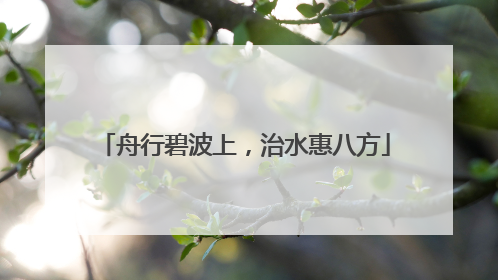 舟行碧波上，治水惠八方